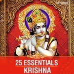 25 Essentials - Krishna - Bickram Ghosh Song Download